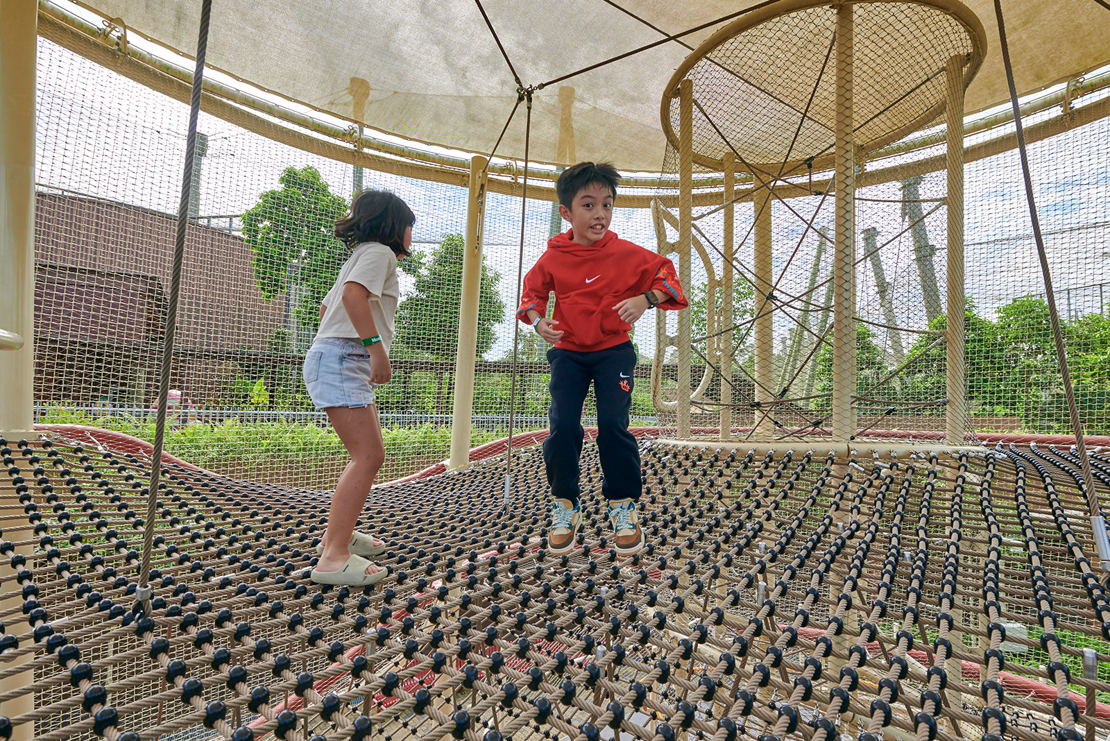 Mandai_Treetop_fullt_03.jpg