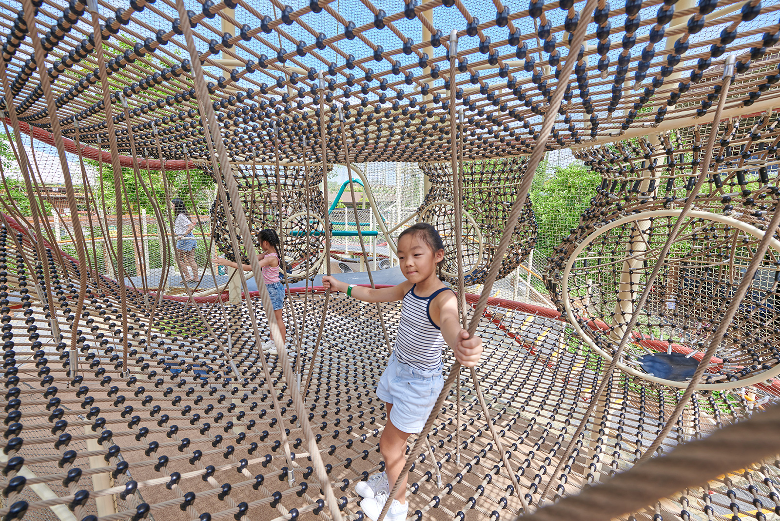 Mandai_Treetop_fullt_04.jpg