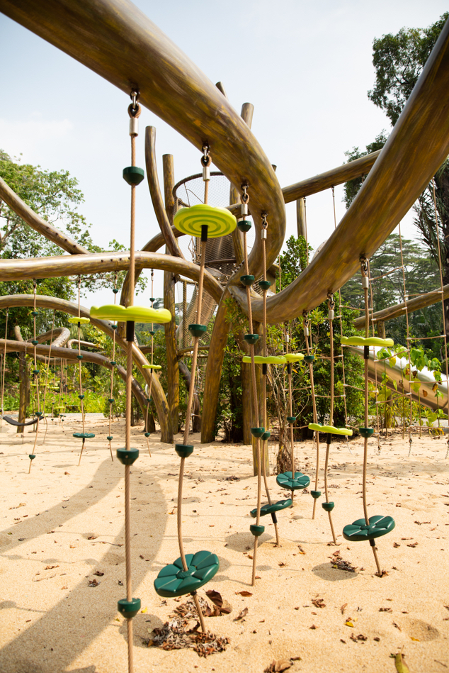 swing2.jpg